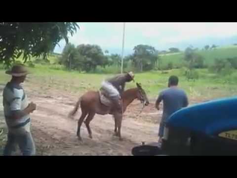 Melhores tombos de cavalo