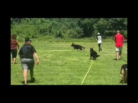 Isen working class male