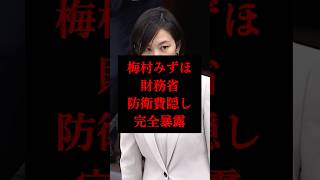 【財務省答弁】時が来たら防衛費を増税するって言ってますよね？国民は騙されていると気づいてますよ…【参議院/参政党/梅村みずほ】