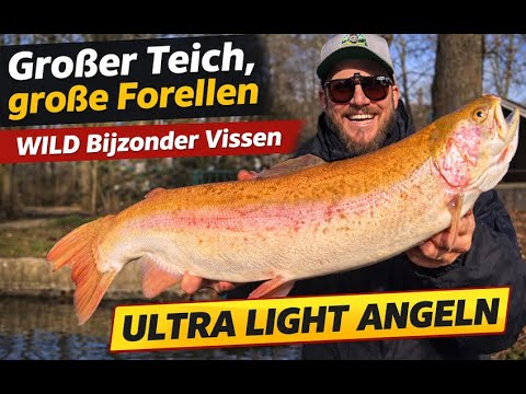 Großer Teich, große Forellen | WILD Bijzonder Vissen | Ultra Light Angeln