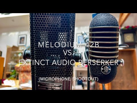 Melodium 42B V's Extinct Audio Berserker
