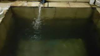 Download lagu Suara Air Mengalir Di Kamar Mandi | Terapi Relaksasi Mengusir Stress - Kolam Air mp3