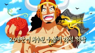 [원피스 1192화 분석] 20년 만에 회수된 엘바프 떡밥, 용감한 바다의 전사로 각성한 우솝
