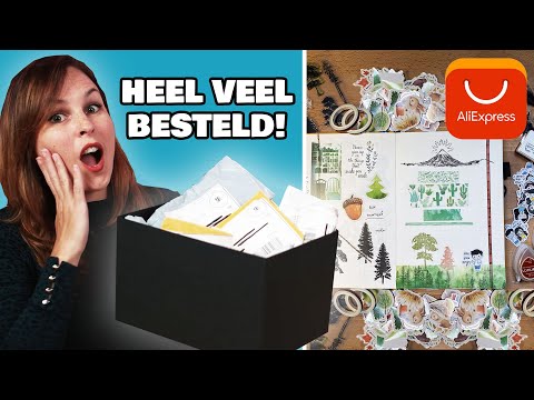 GROTE ALI EXPRESS SHOPLOG voor je BULLET JOURNAL!