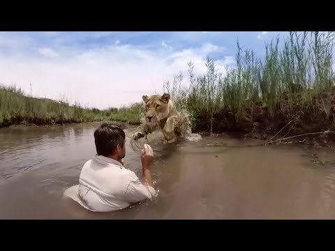 GoPro VR: For the Love of Lions