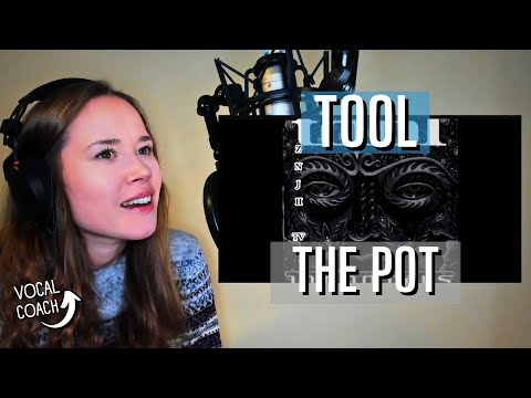 Finnish Vocal Coach Reacts: TOOL- The Pot (CC)
