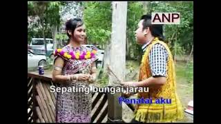 Download lagu Sepating Bungai Jarau - Rickie Andrewson ( Koleksi Lagu Gawai Lama ) ( Vcd Version ) mp3