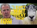 Jeremy Clarkson S Love Hate Relationship With His Sheep Clarkson S Farm