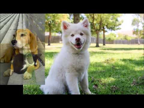 WAKE ME UP by Larry Hruby feat. Without My Armor