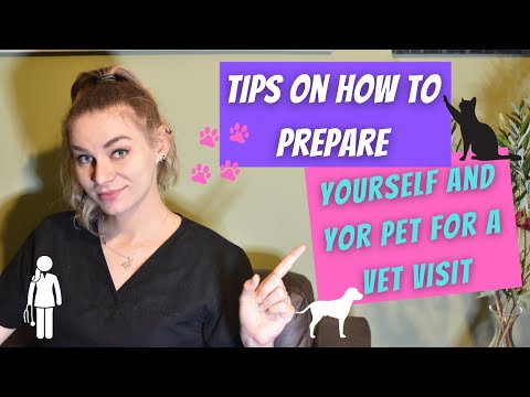 Tips on how to prepare yourself and your dog or a cat for a vet visit. Appointment at the vets.