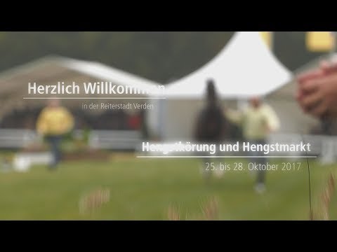Hannoveraner Hengstkörung - Hanoverian Stallion Licensing and Stallion Sales 2017