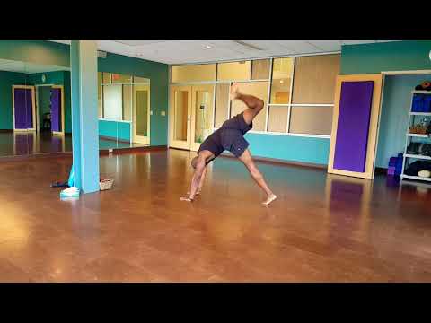 Animal Flow Kingdom Flow practice