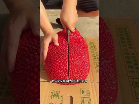 Enjoy Beautiful Natural Rad Jackfruit