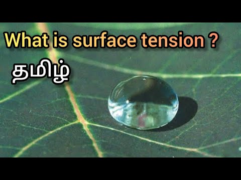 What is surface tension ? In tamil explained