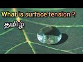 What Is Surface Tension In Tamil Explained