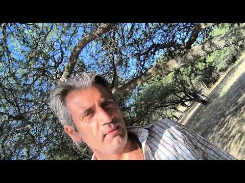 Reserva Natural Chapalcó (Chasicó). Diagonal (Semi) Árida. Caldenes y Algarrobo.. Villarino. Bs As.