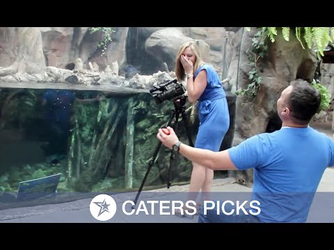 Otterly Adorable Surprise Proposal