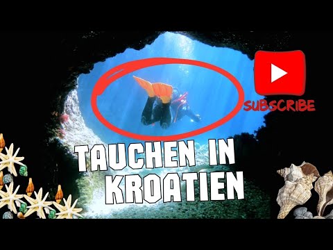 Tauchen in Kroatien - KRK / Punat - 2024