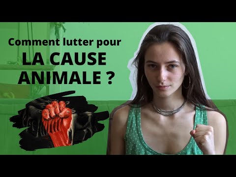 Comment lutter pour la cause animale ?