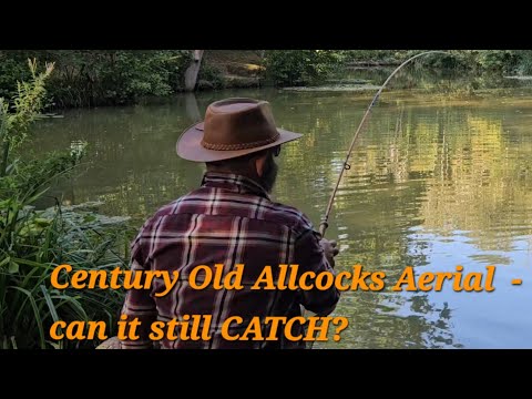 Crucians, Carp, and Century Old Centrepins