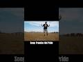 It S Promise Not Pride