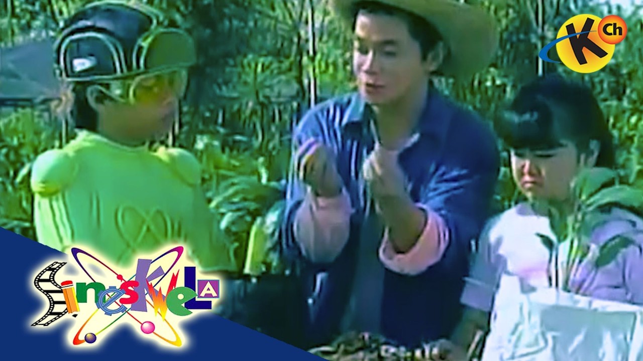 The Pedologist and the Types of Soil | Sineskwela