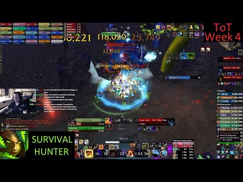 Throne of Thunder 25 man 10/12 H - Survival Hunter PoV - Week 4 MoP Phase 3 - 1-4-26