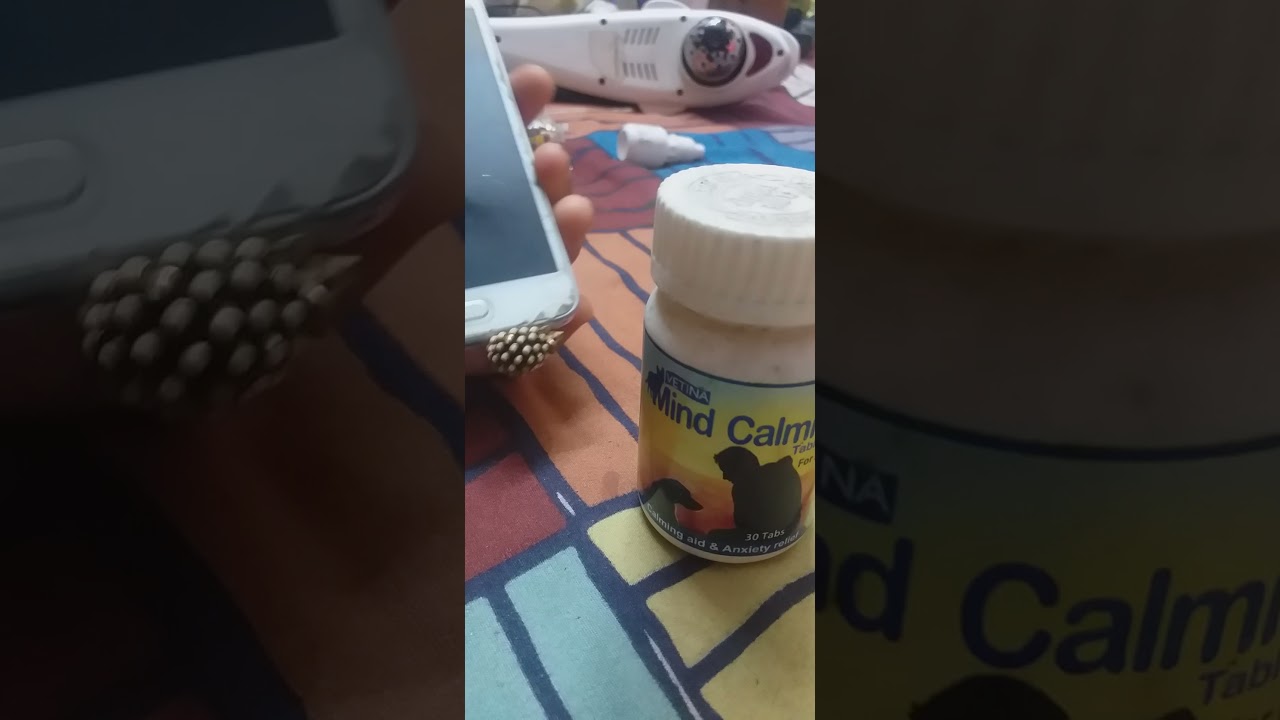 anxiety relief, calming aid for dogs- vetina mind calming tablet