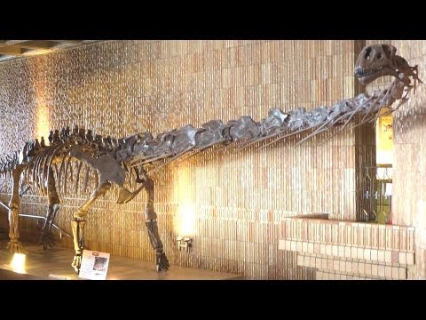 岩手県立博物館 IWATE PREFECTURAL MUSEUM  | 岩手･盛岡観光動画