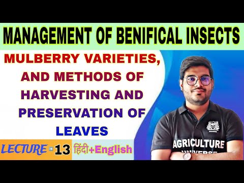 importance of beneficial insects management of benifical insects bsc agriculture 5th sem