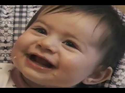 Zoboomafoo: Slimy Buddies