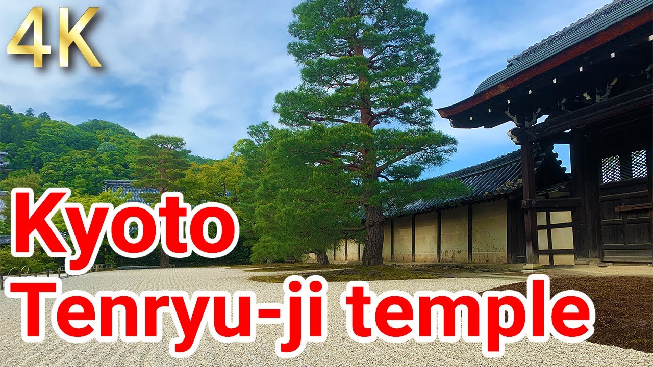 Embark on an engaging walking tour of the majestic Tenryu-ji Temple.