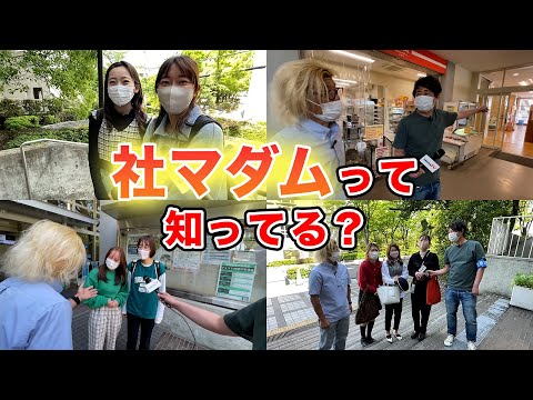 法学政治学科 社マダムを探せ in 関西大学千里山キャンパス