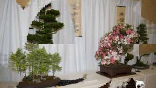 preview picture of video 'Eastbourne & Wealden Bonsai Exhibition'
