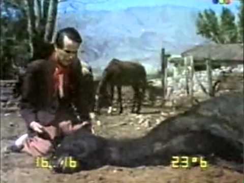 El corralero Hernán Figueroa Reyes