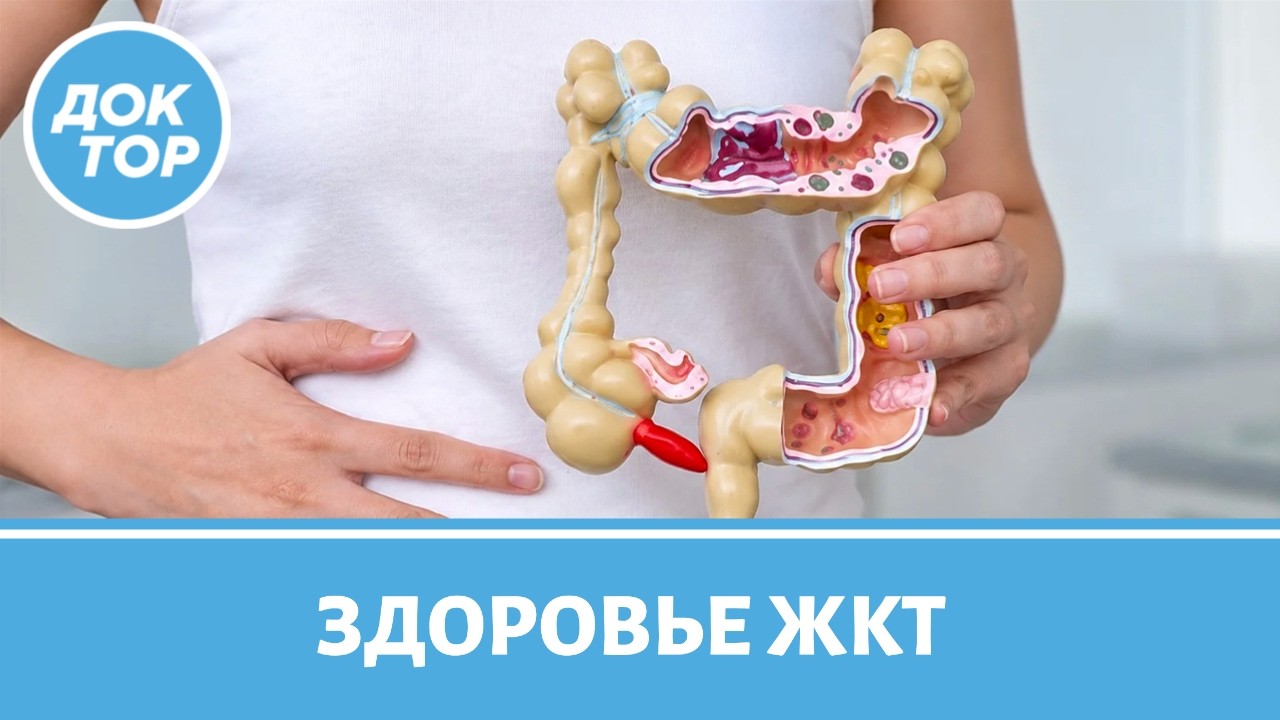 5 правил, чтобы желудок и кишечник работали как часы