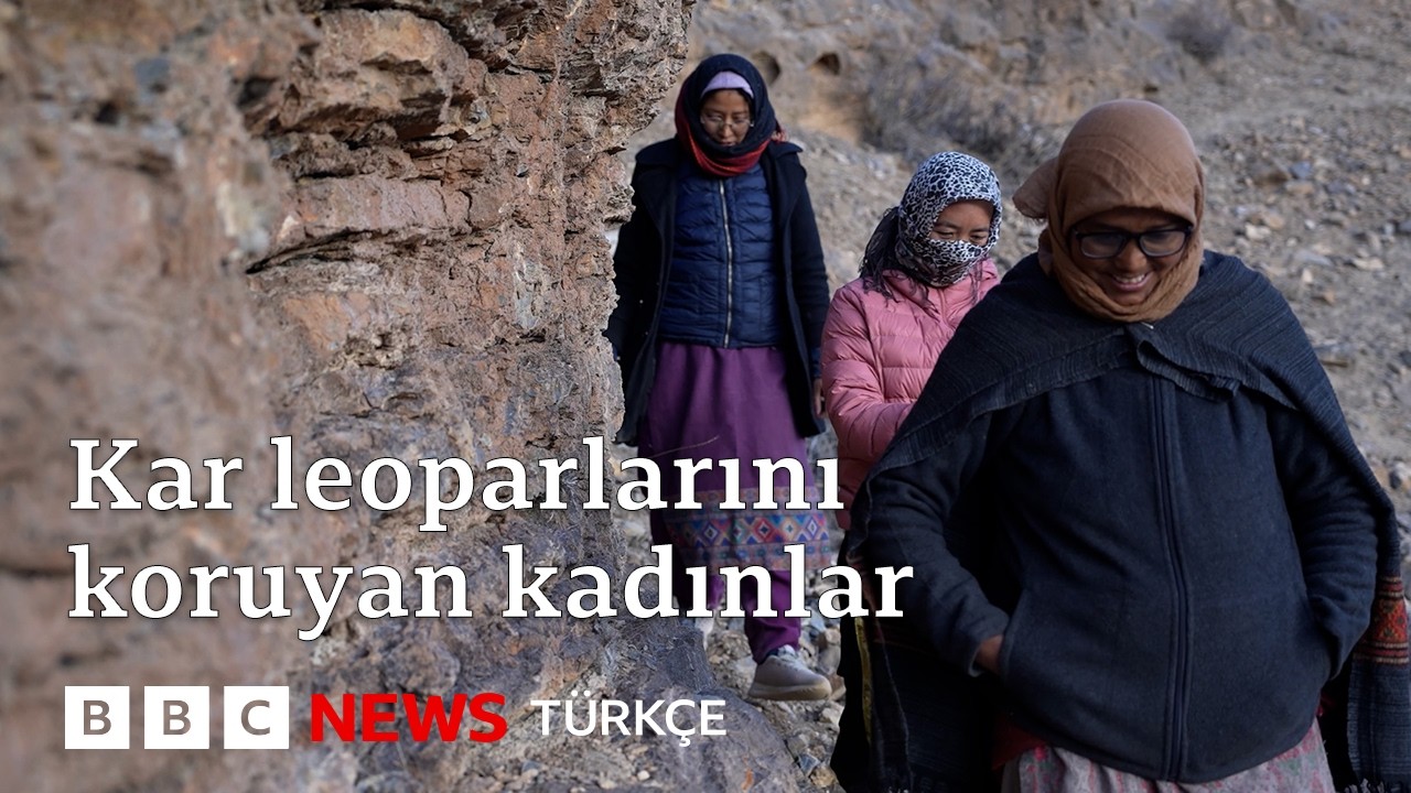 Himalayalar’da kar leoparlarının izini süren kadınlar