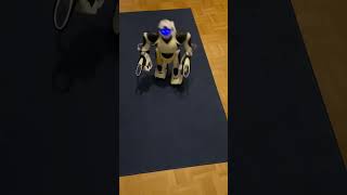 Download lagu #robosapien v2 walking mp3 Download lagu #robosapien v2 walking mp3