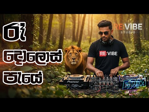 Re Dolos Paye | රෑ දොලොස් පැයේ - EDM @REVIBESL-k3c