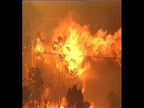 Blue Mountains Wildfire January 1994