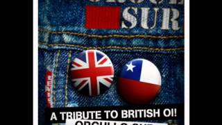 Orgullo Sur - Skinhead (Combat 84)