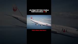 Hundreds Nearly Died in Japan’s Skies 😱 | TCAS Saved Flight 958
