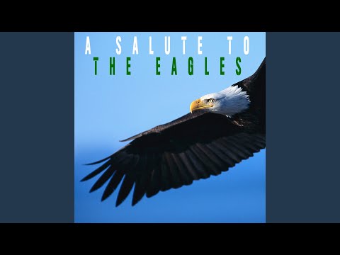 Best of the Eagles Playlist Will Lift Your Mood