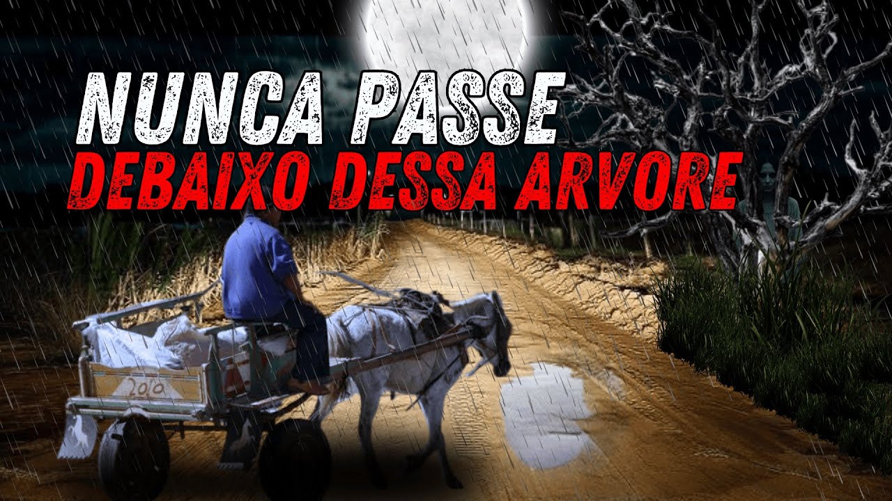 The Curse of the Serrote Fundo Road – Santana do Cariri. Holy Week.