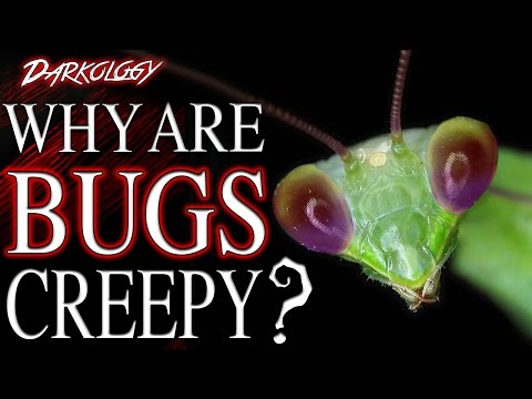 Why Are Bugs Creepy? | Darkology #16