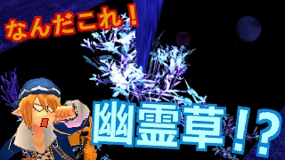 【マビノギ】シリエンの謎に迫る バグ探検