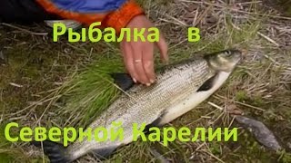 Диалоги о рыбалке - рыбалка в карелии
