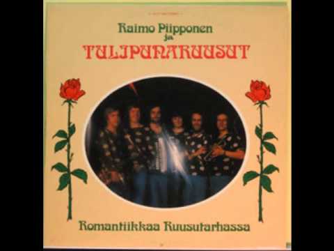 Raimo Piipponen&Tulipunaruusut Irja