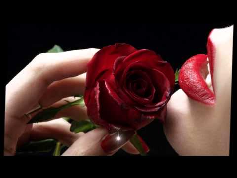 Cengiz Imren "Sana Olmaz mi Dedim " -müzik ekspires-