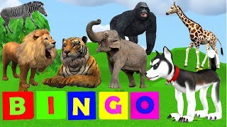 Bingo Dog Animation Cartoon For Kids - Learn Colors Abcd Shapes With Animal Cartoons For Children